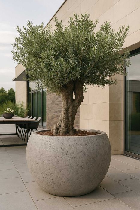 Donice z włókna szklanego na wymiar . Dowolny kolor , imitacja betonu