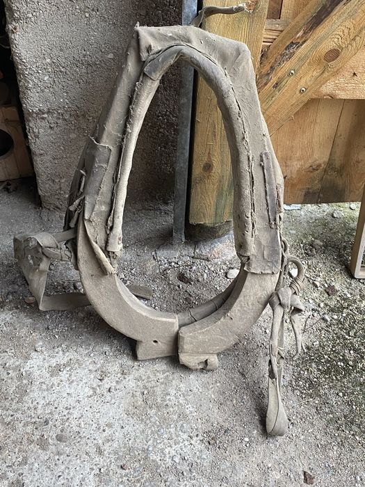 homonto chomonto dla konia lata 40