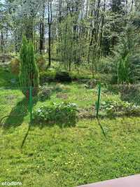 Cygański Las - 3 słoneczne pokoje z ogrodem