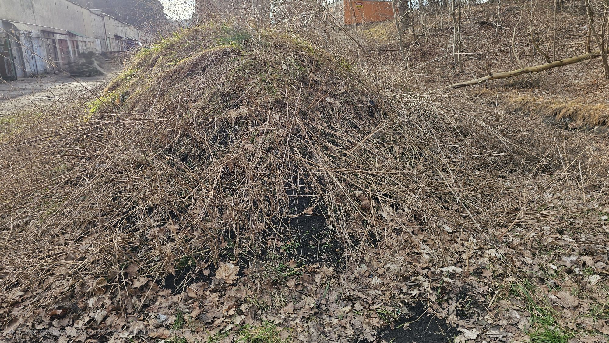 Oddam ziemię za darmo