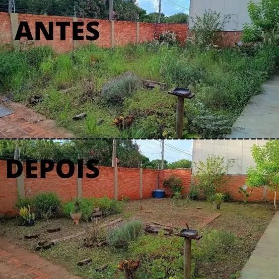 Serviços de Limpeza de Terrenos e Jardins
