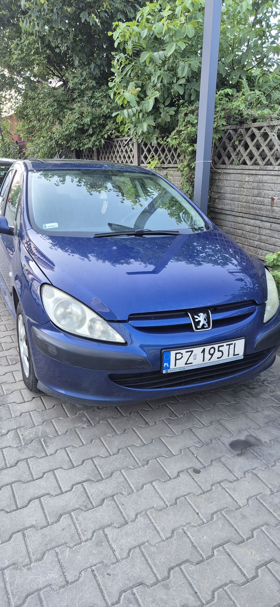 Peugeot 307 1.6 benzyna