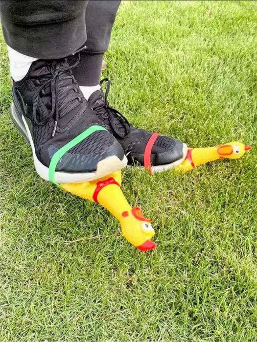 Резинова курка, півень для вечірки, іграшки для собак 10шт