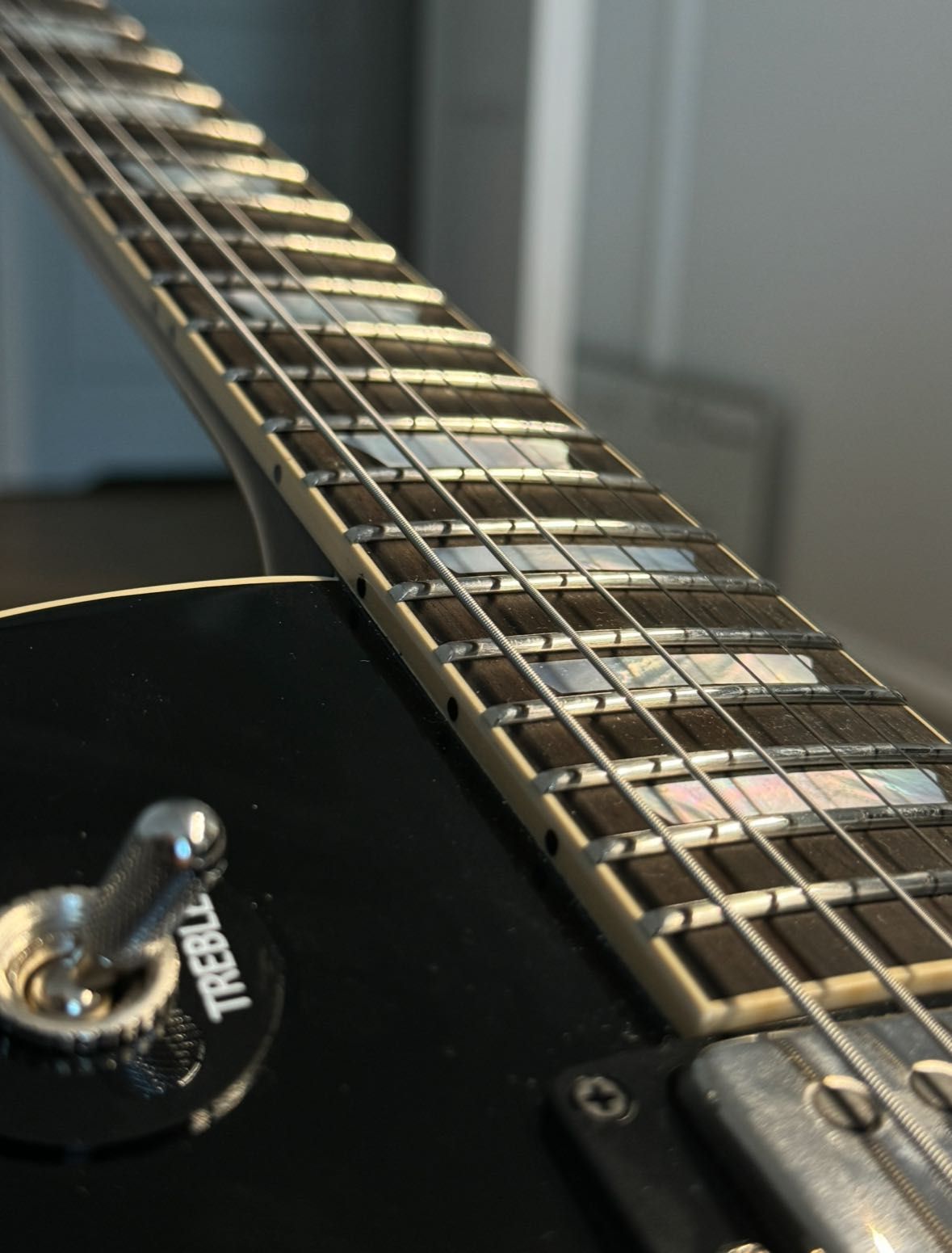 Gibson Les Paul Adam Jones Standard