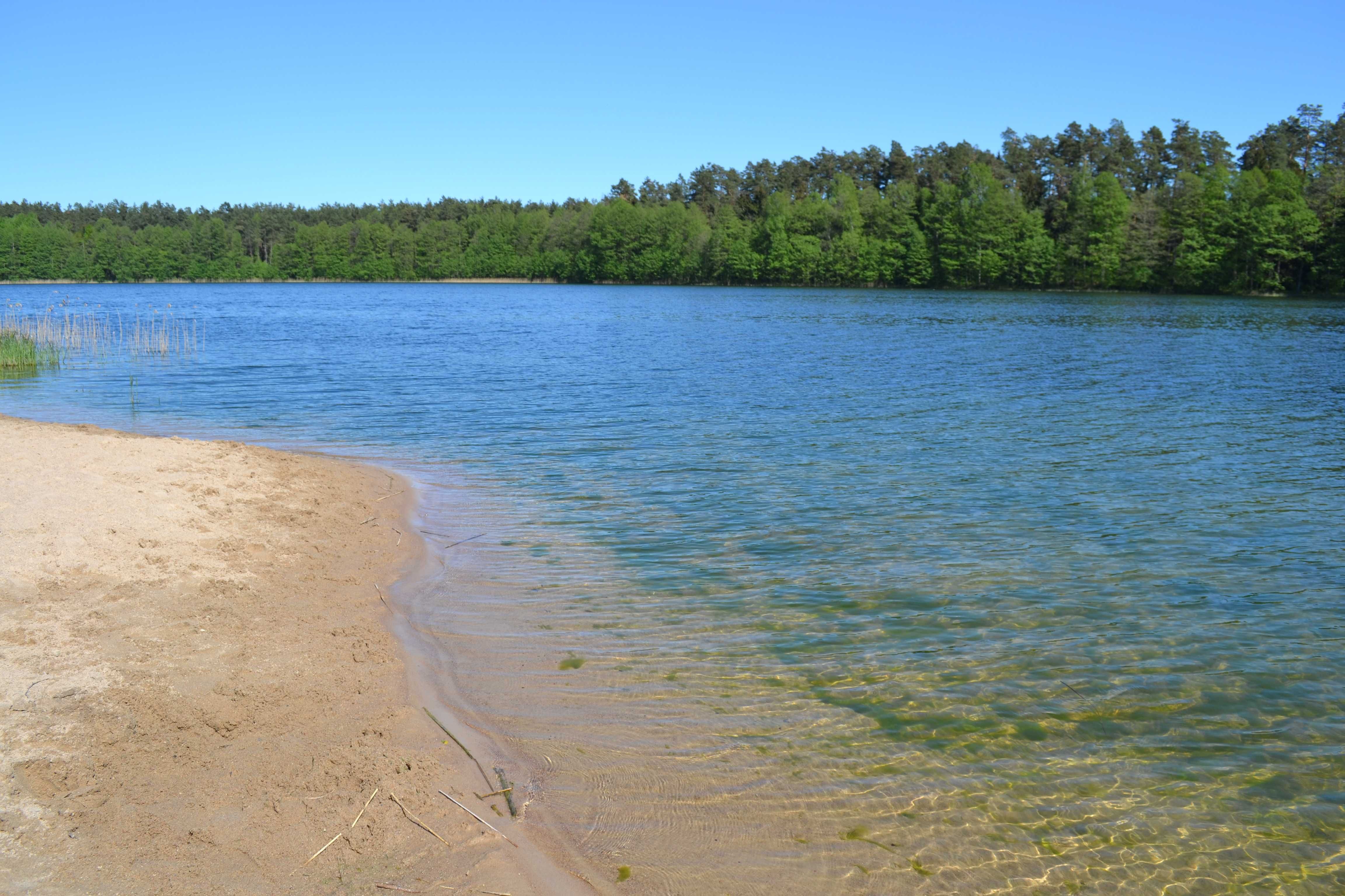 Last Minute Mazury Szeroki Bór Piski Apartament nad jeziorem Jegocinek