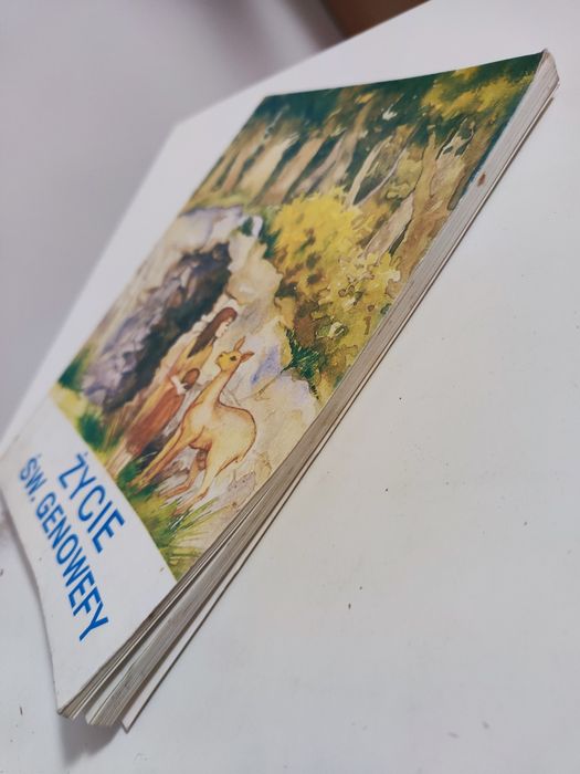 Życie św. (świetobliwej) Genowefy dla matek, dzieci i uczciwych ludzi