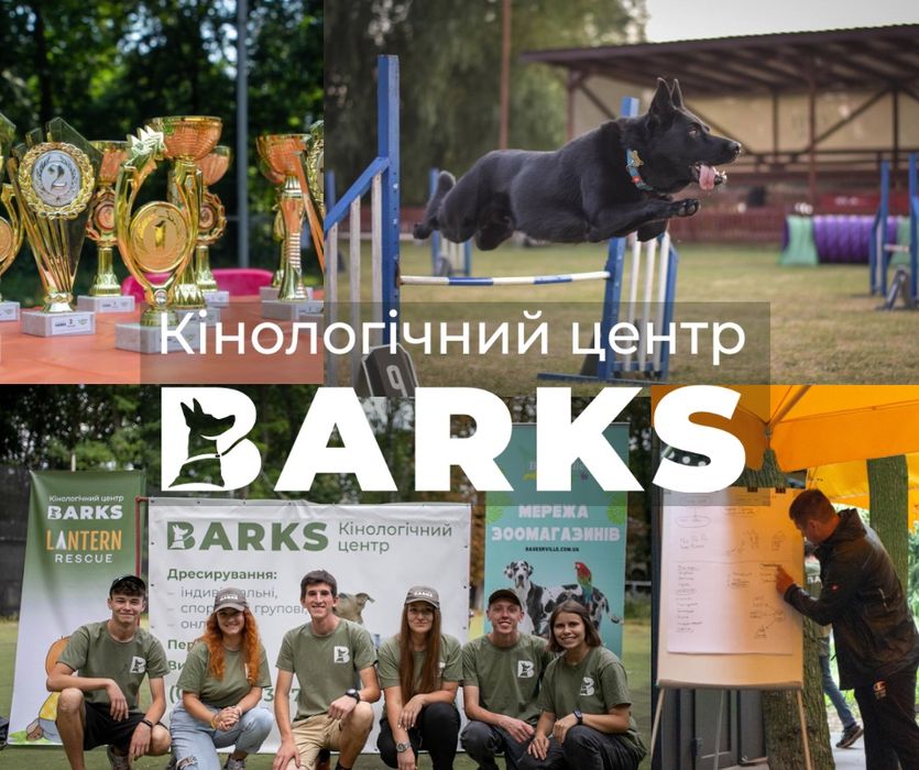 Дресирування собак | Кінолог Вінниця