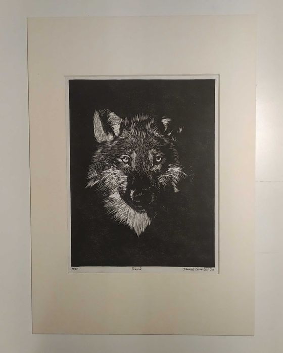 Wilk, owczarek, Linoryt, ilustracja - oprawiony w passe-partout