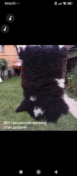 добрий стан недорого
