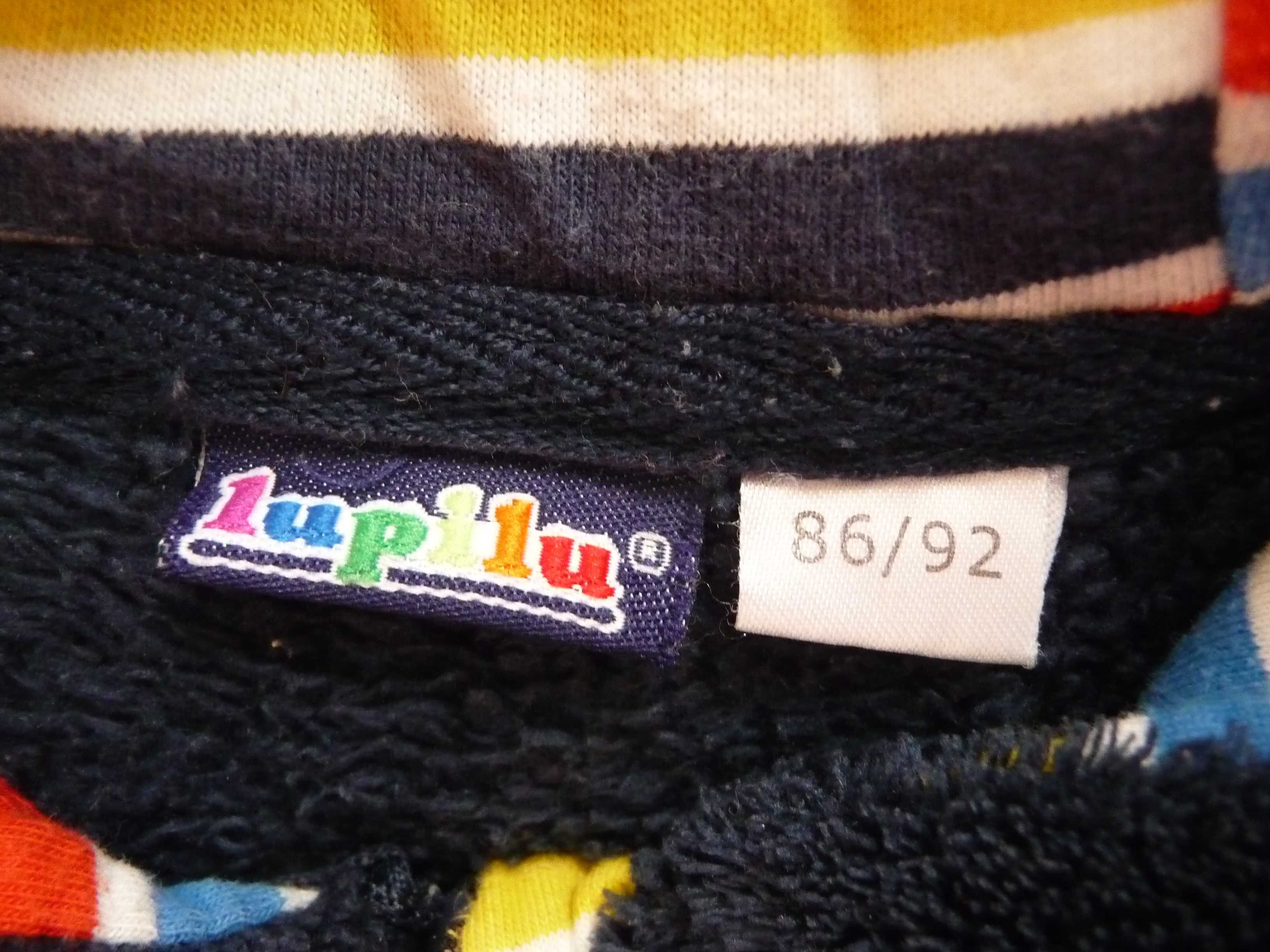 Ciepła bluza chłopięca firmy Lupilu rozm. 86/92