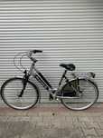 Rower damka Alu-Rex
