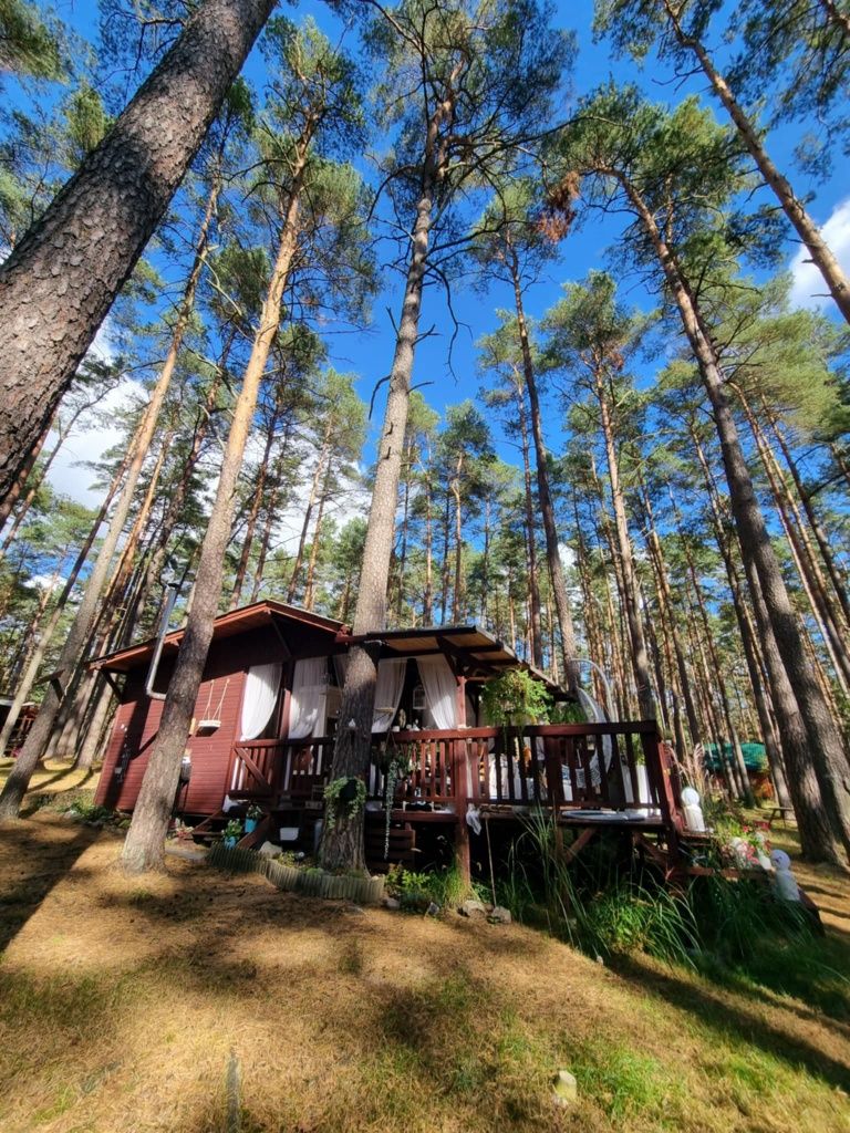 Domek letniskowy nad jeziorem Gołuń obok Wdzydz.