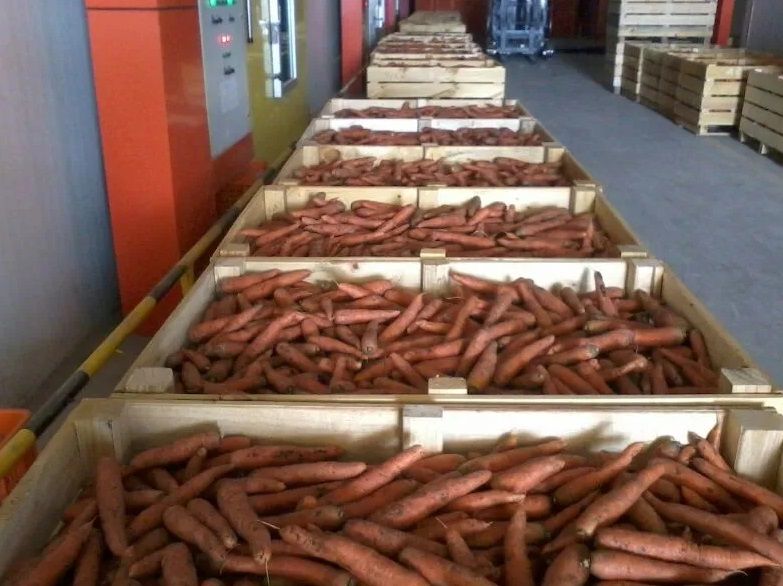 Камера холодильник зберігання для яблука, фруктів камери охолодження