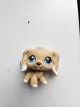 Lps littlest pet shop figurka hasbro spaniel cocker spaniel #748