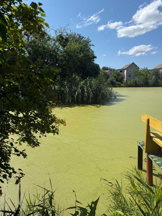 Продаж затишного садового будинок у СТ «Чайка-2» с. Чехівка