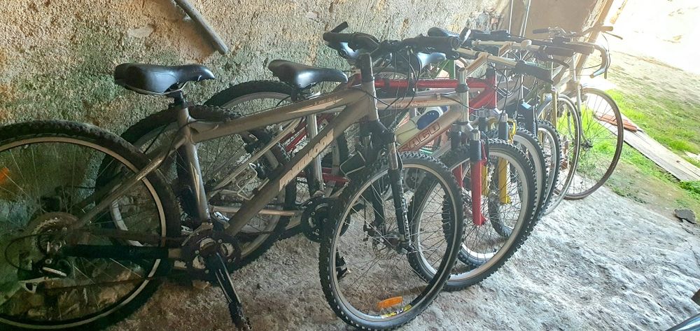 50€ cada bicicleta