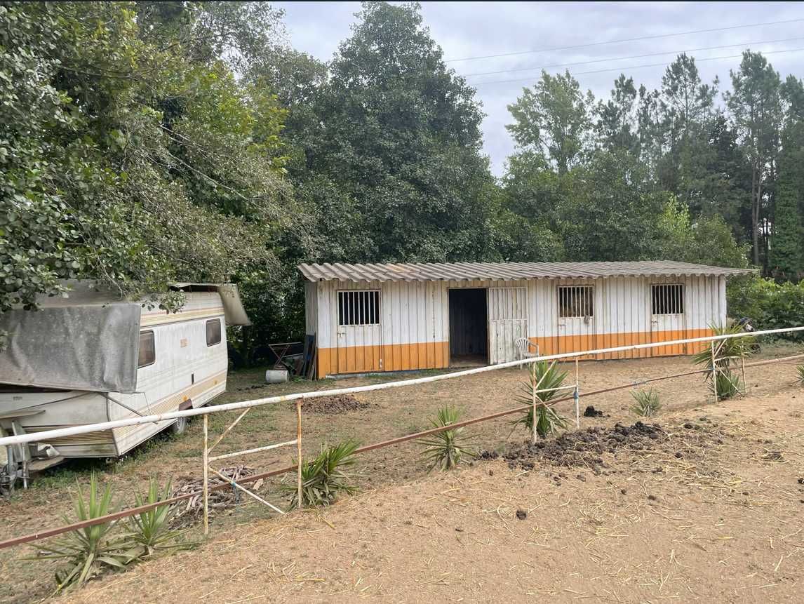 Terreno com boxes para cavalos