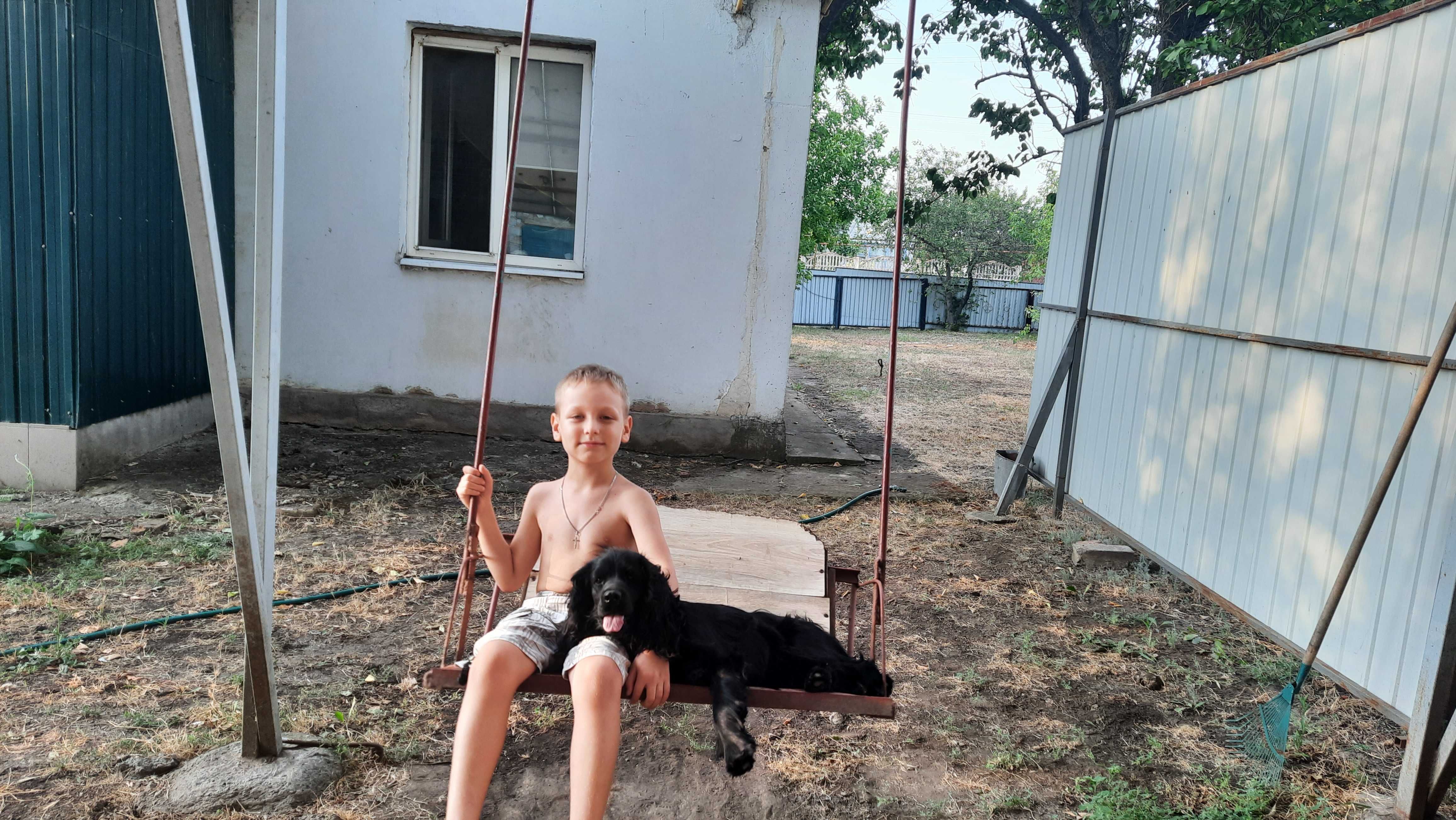 Собака Спаниелька