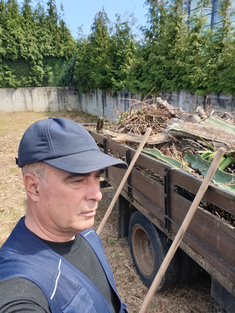 Limpeza terrenos, matas, jardins, corte, abate e  poda de árvores.