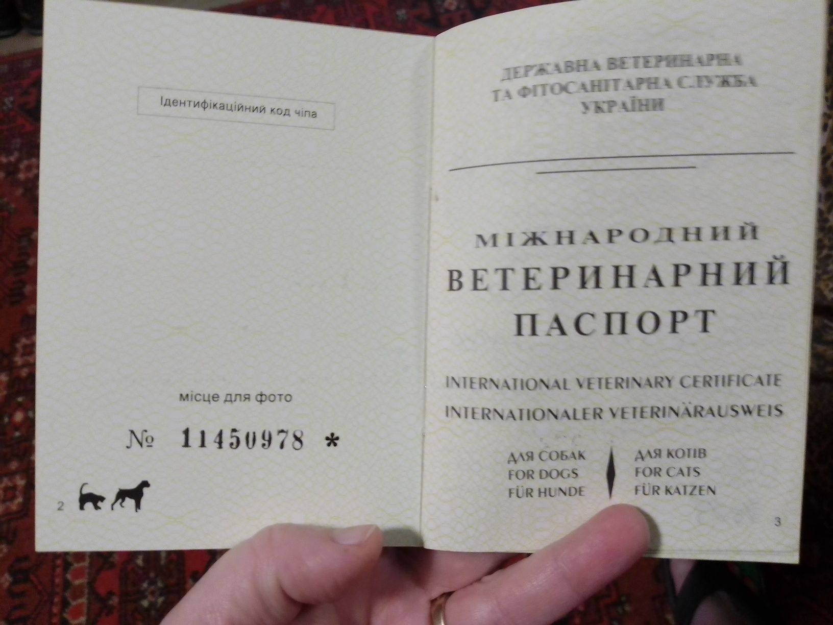 Лабрадор чорно-білий. Ветеринарний паспорт..