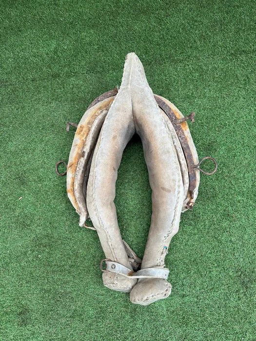 Jugo antigo, canga ou Coelheira para bovino