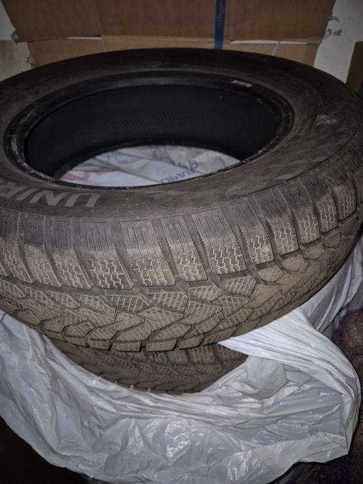 Зимние Шины Uniroyal Winterexpert 195/65 R15 91 T