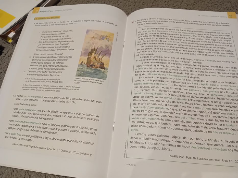 Cadernos de atividades 9 ano