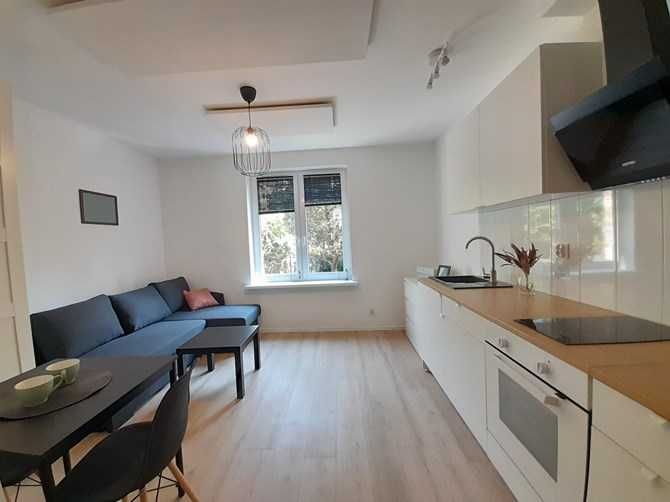 Wynajmę studio przyjazne zwierzętom, Tomasza 5, BRAK PROWIZJI