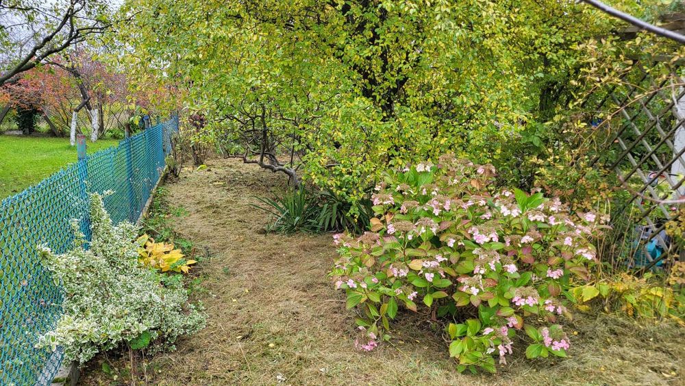 Działka ogrodnicza ROD M. Reja, Gdynia Obłuże