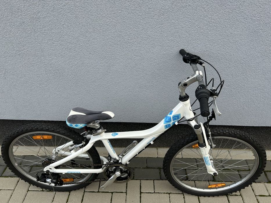 Rower Giant Taffy 24”