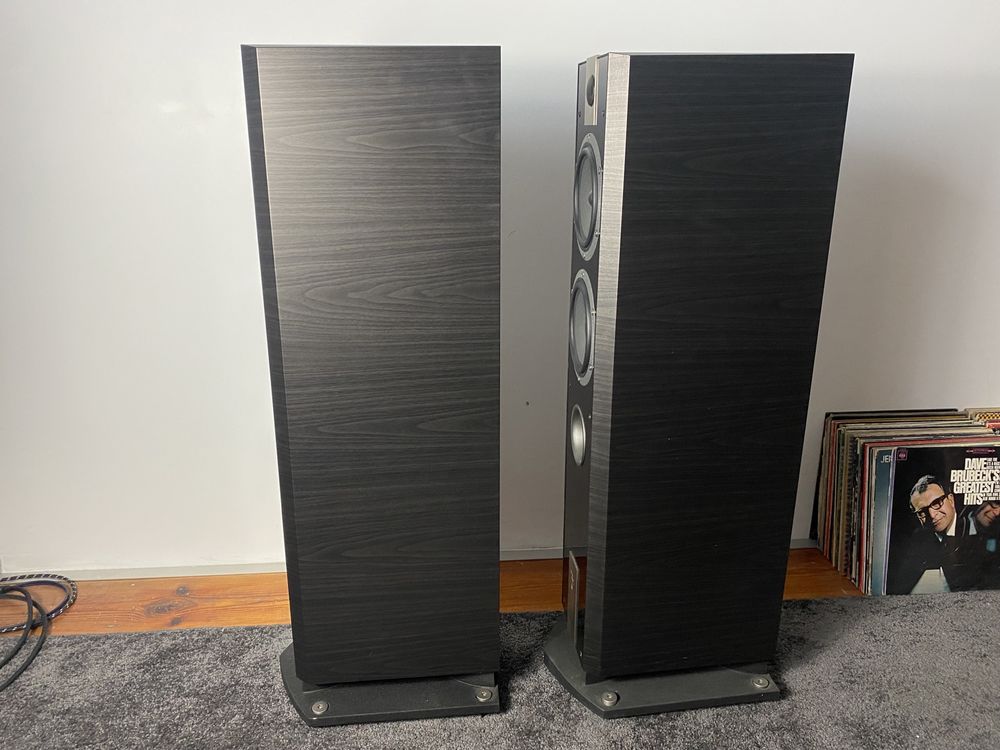 Focal chorus 816v Dark ebony