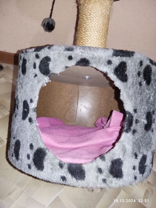 Кототочилка для кігтів котів