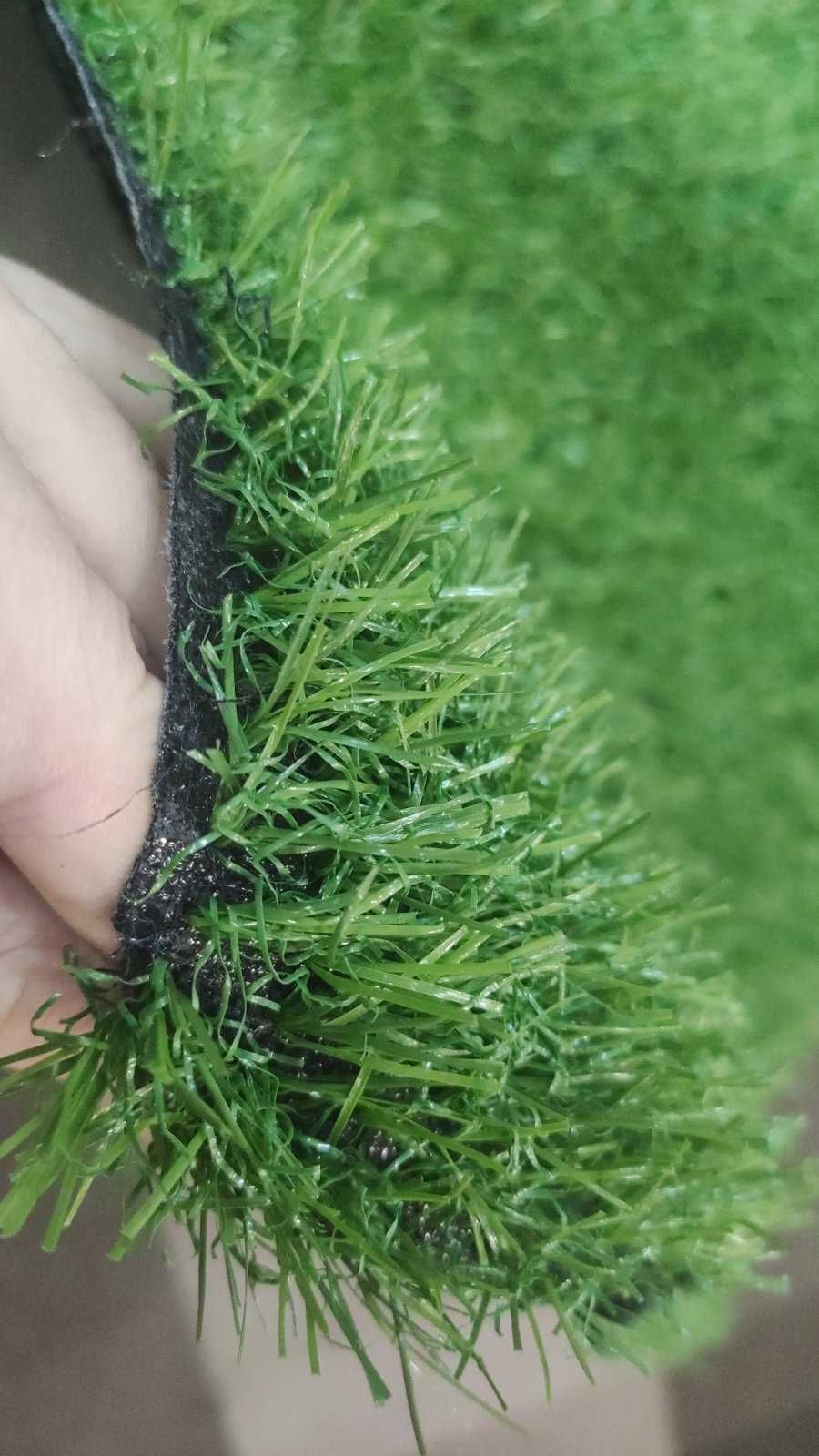 Декоративна трава Grass R-20 - НОВИНКА!!!