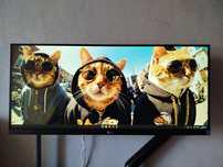 Монитор LG 29WQ600 100Hz/IPS