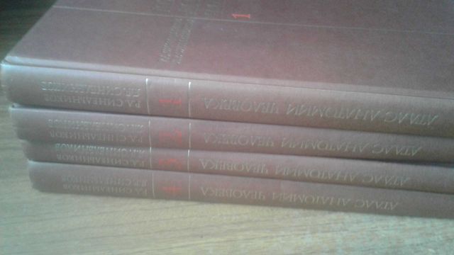 Атлас анатомии человека Р.Д. Синельников 1996 год 4 тома комплект