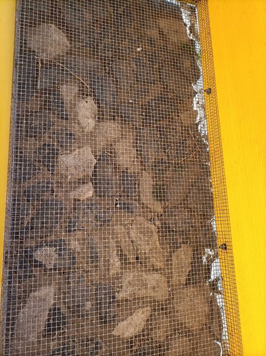 Criadeira Chick Max 100x50 cm (Com acessórios)