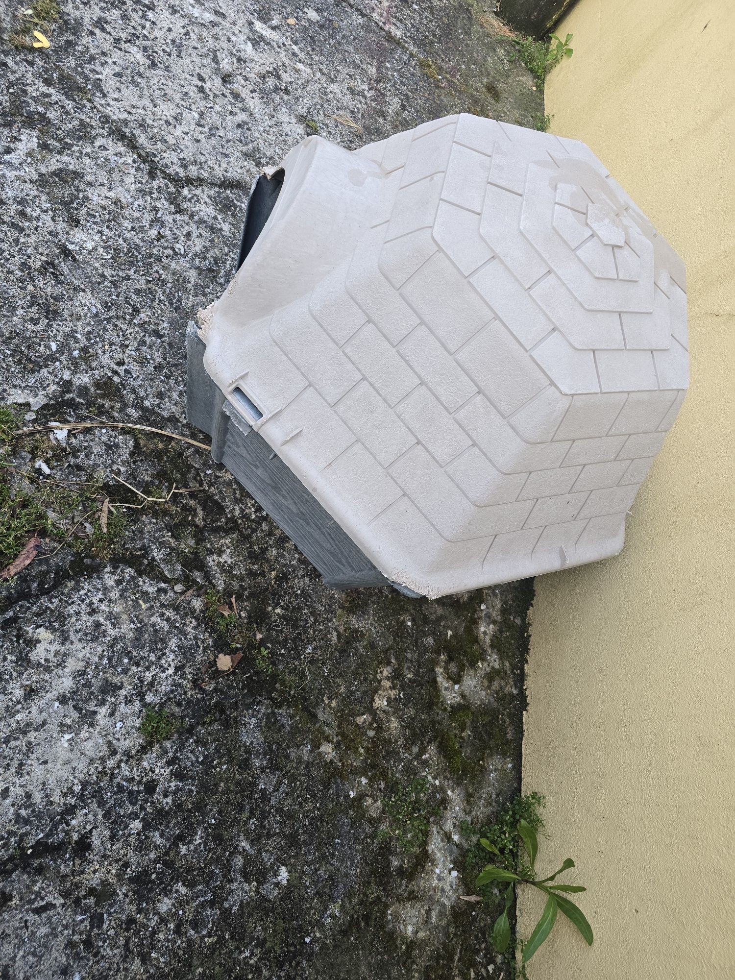 Casota exterior para gato ou cão