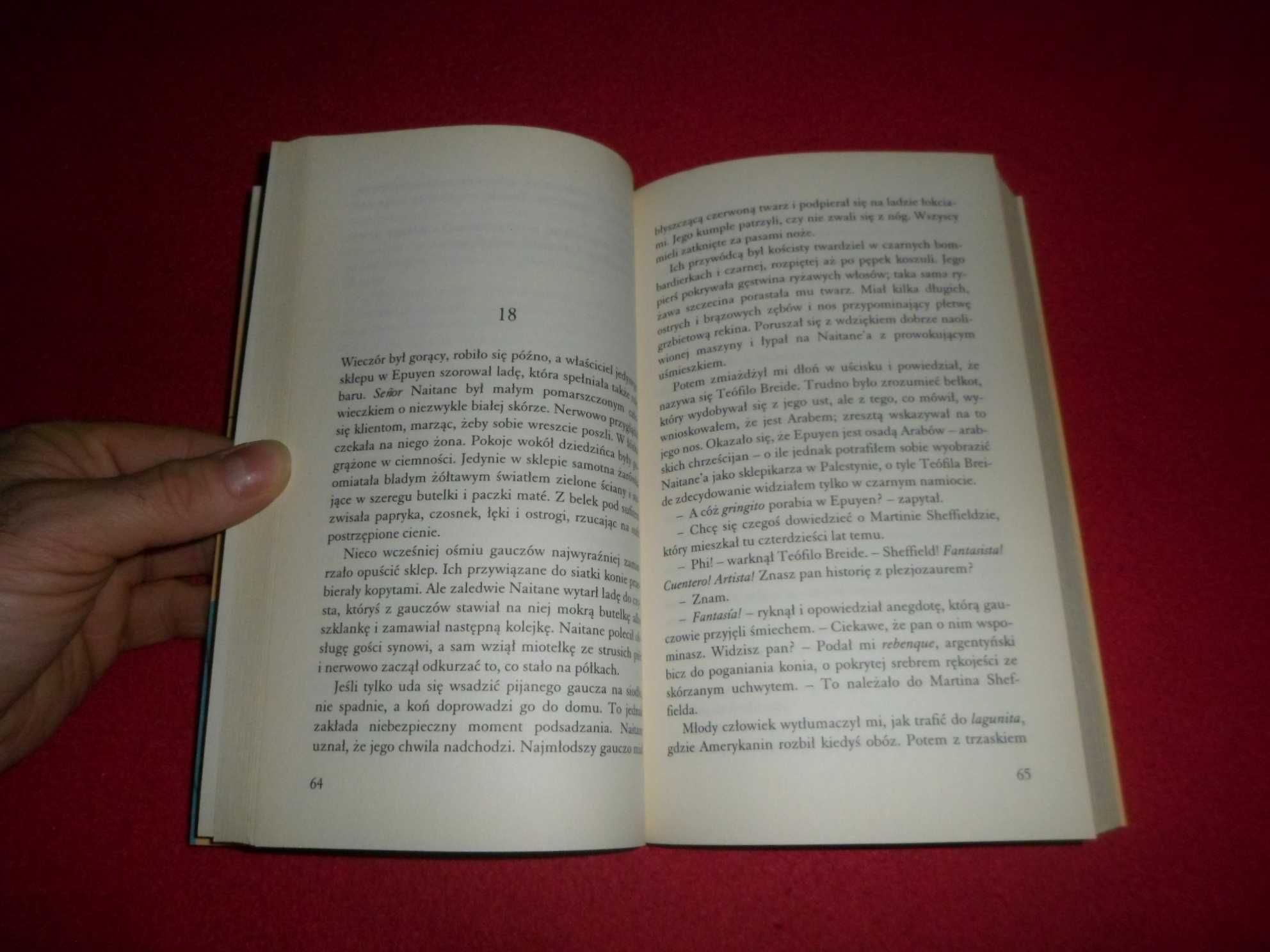 Bruce Chatwin - W Patagonii