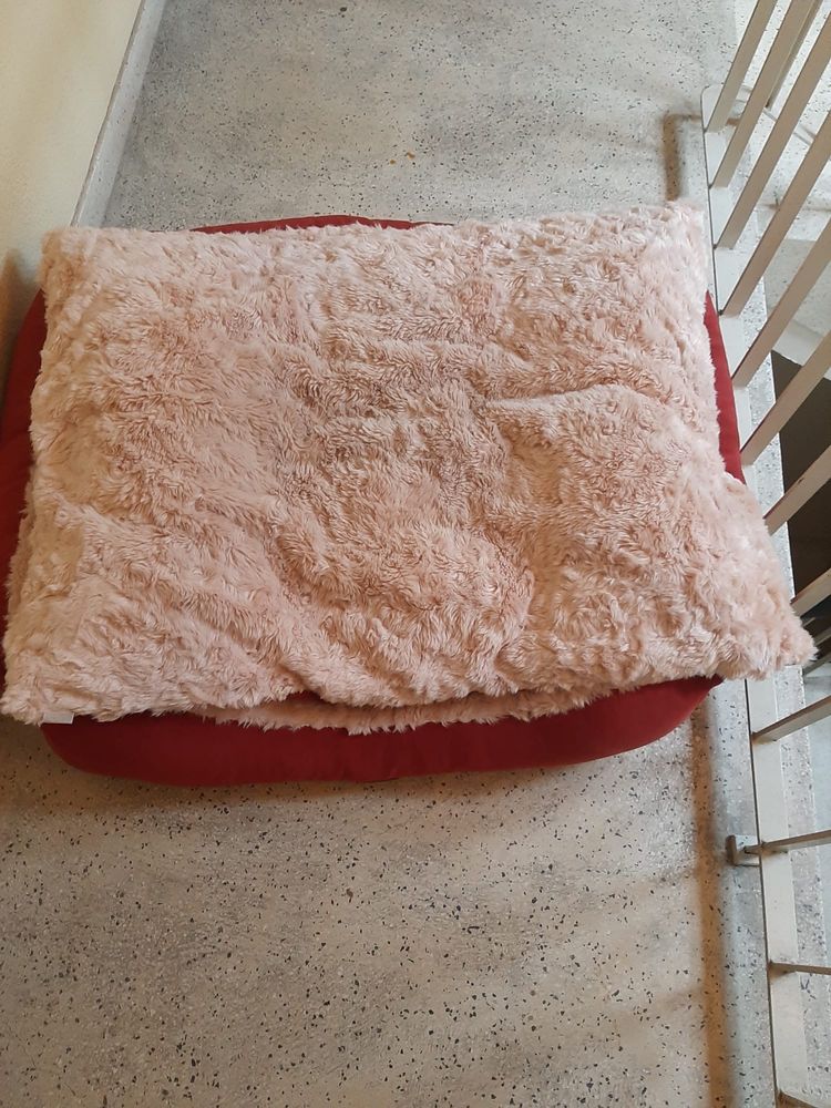 Cama para caes medios