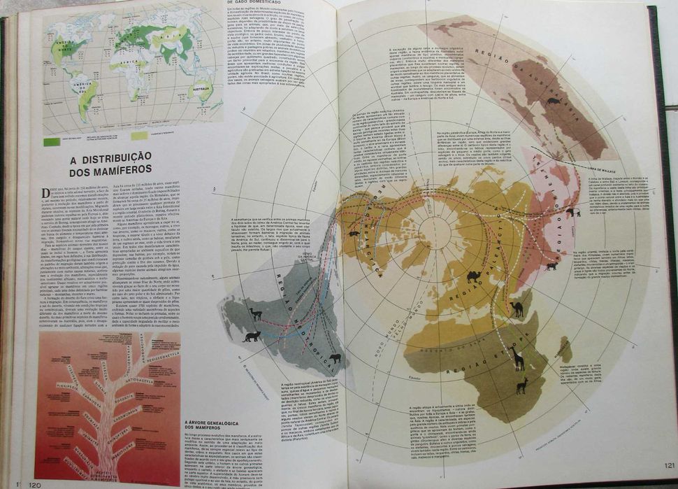 Grande Atlas Mundial - - - - - Enciclopédia