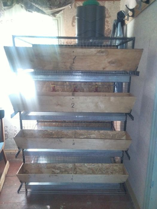 Клітки для перепілок 
Розміри 92 х50х22
Система поїнн