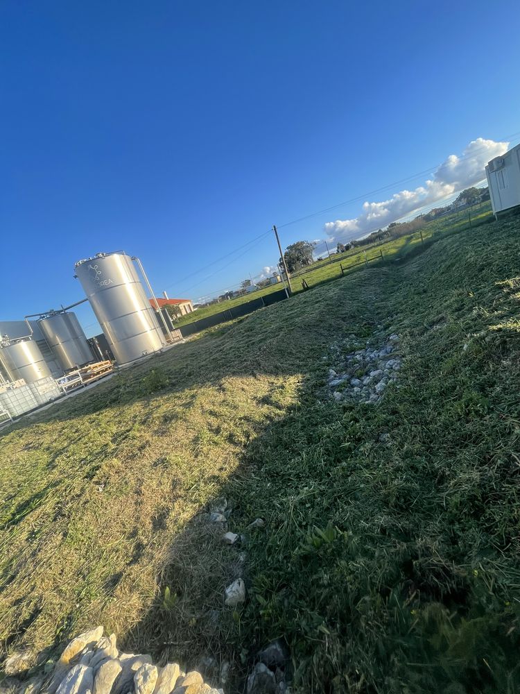 Jardinagem e Limpeza de Terreno