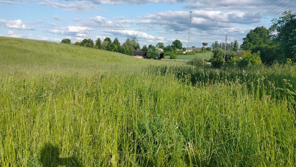 Działka na sprzedaż Olszanka powiat augustowski