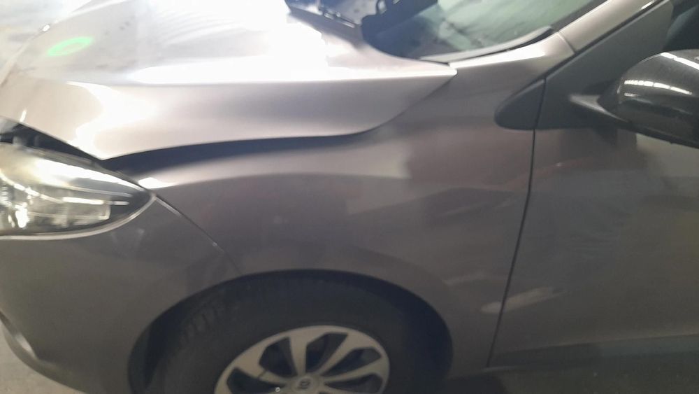 Guarda-lamas esquerdo RENAULT Megane III Grandtour (KZ0/1)