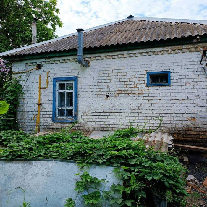 Будинок з ділянкою