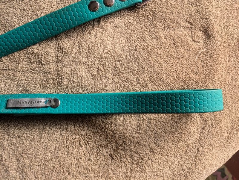 Gumowa smycz dla psa 3m