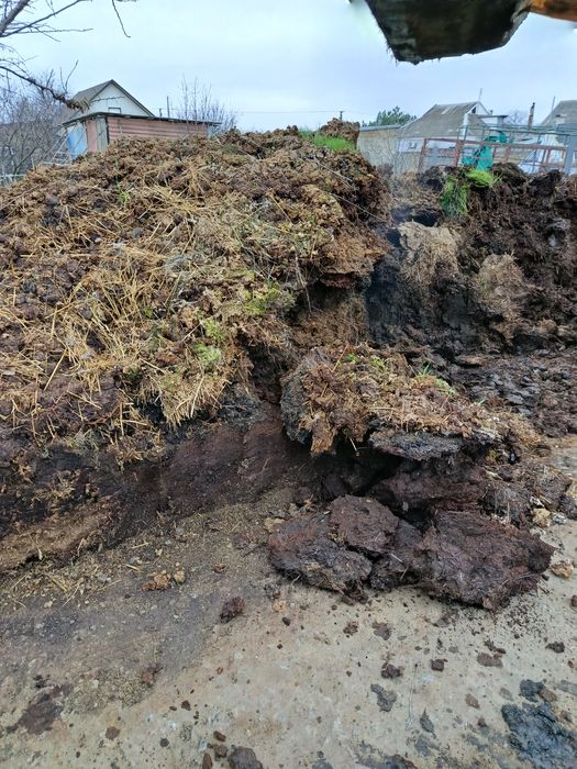 Продам навоз коровий