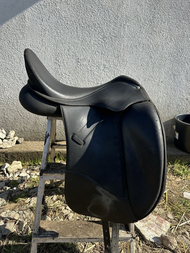 Wintec Isabell Werth 17,5