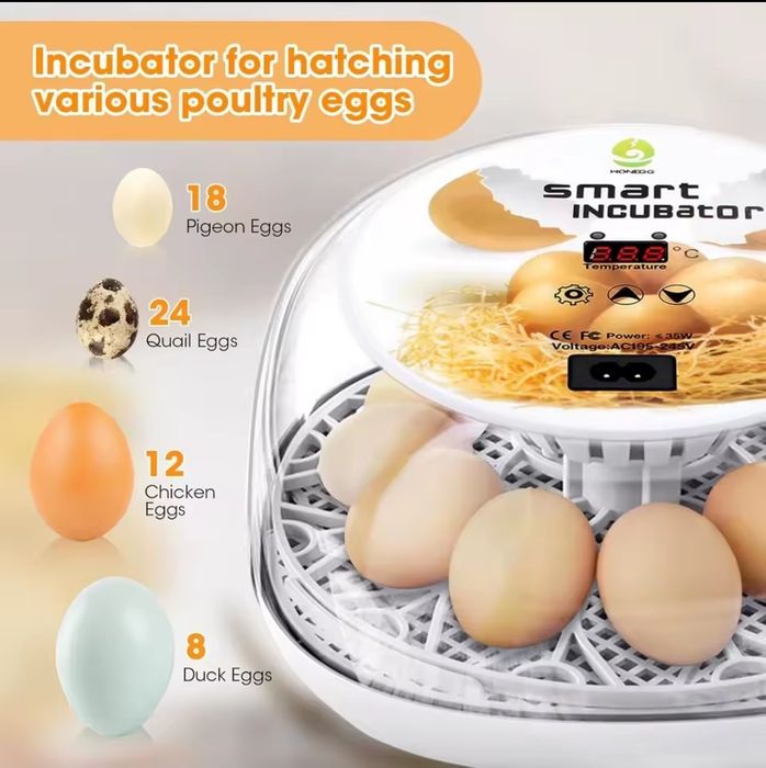 Incubadora Automática / Chocadeira 12 ovos