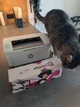 Drukarka laserowa HP LaserJet m110w